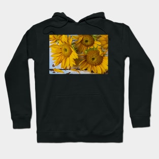 Fading Spent Sunflowers Still life Hoodie